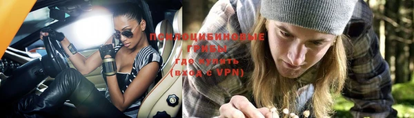 PSILOCYBIN Арсеньев