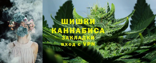 PSILOCYBIN Арсеньев