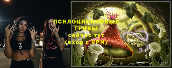 PSILOCYBIN Арсеньев