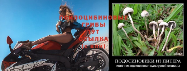 не бодяженный Армянск